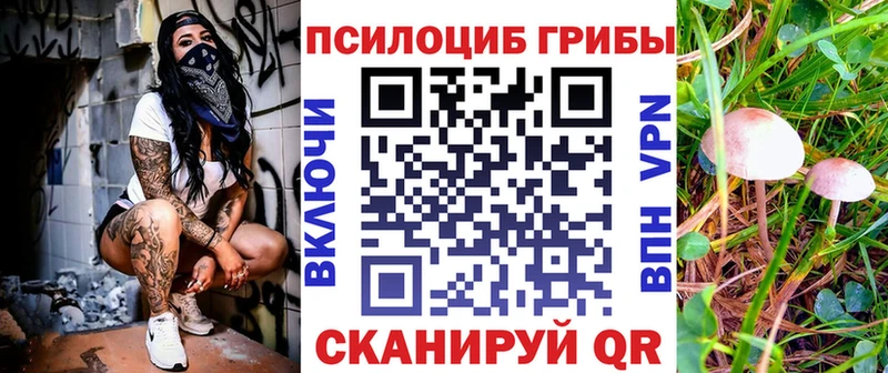 где найти наркотики  блэк спрут как зайти  Галлюциногенные грибы ЛСД  Чистополь 